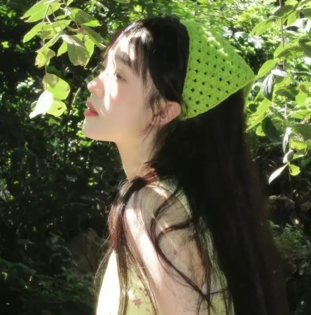 铁血玫瑰